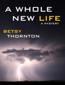 whole-new-life-bookcover0102